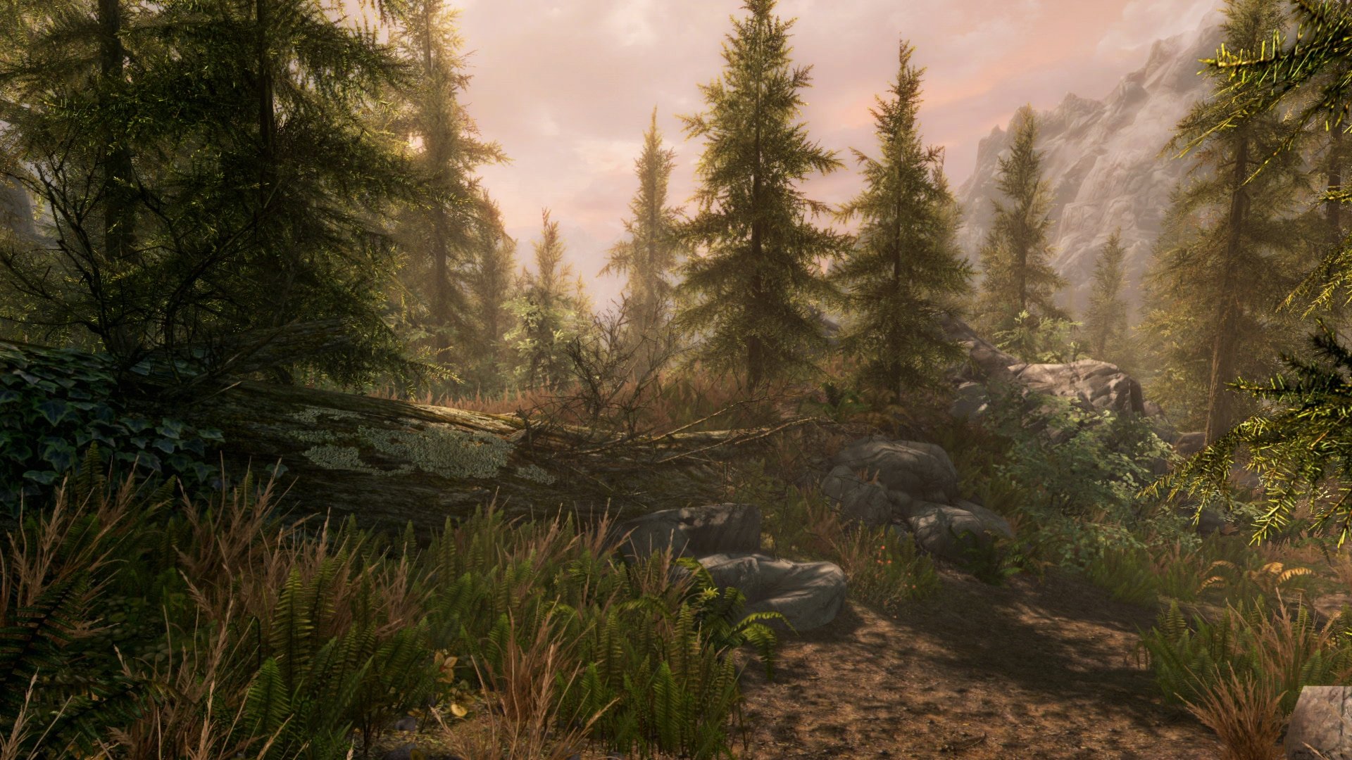 The Elder Scrolls V: Skyrim - Special Edition